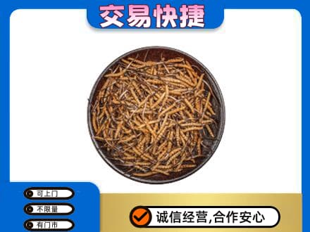 濮阳市回收散虫草